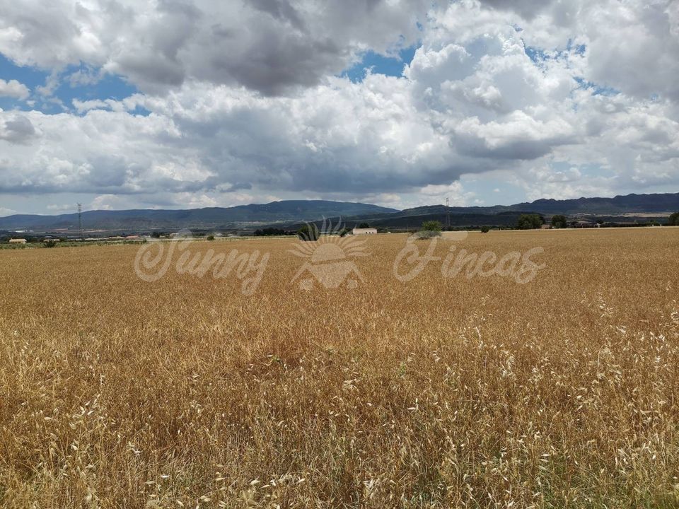 Helårsgrund i Yecla, Murcia - foto 5